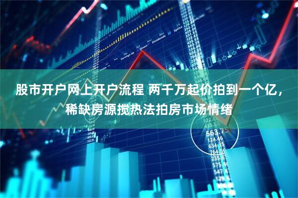 股市开户网上开户流程 两千万起价拍到一个亿，稀缺房源搅热法拍房市场情绪