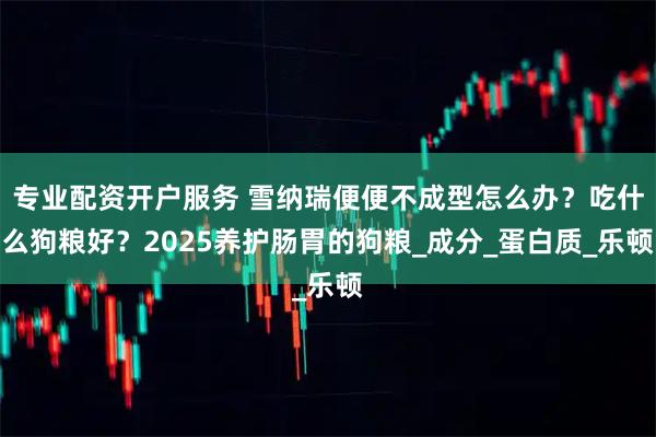 专业配资开户服务 雪纳瑞便便不成型怎么办？吃什么狗粮好？2025养护肠胃的狗粮_成分_蛋白质_乐顿